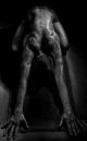 Shane_5599_mono_only