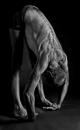 Shane_5641_mono_only
