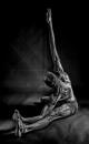 Shane_5652_mono